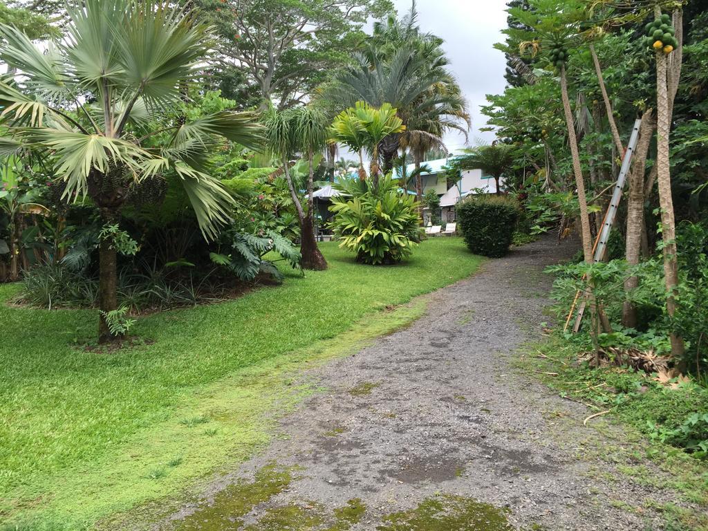 Wild Ginger Inn Hotel & Hostel Hilo Extérieur photo