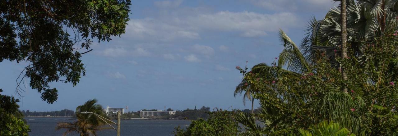 Wild Ginger Inn Hotel & Hostel Hilo Extérieur photo