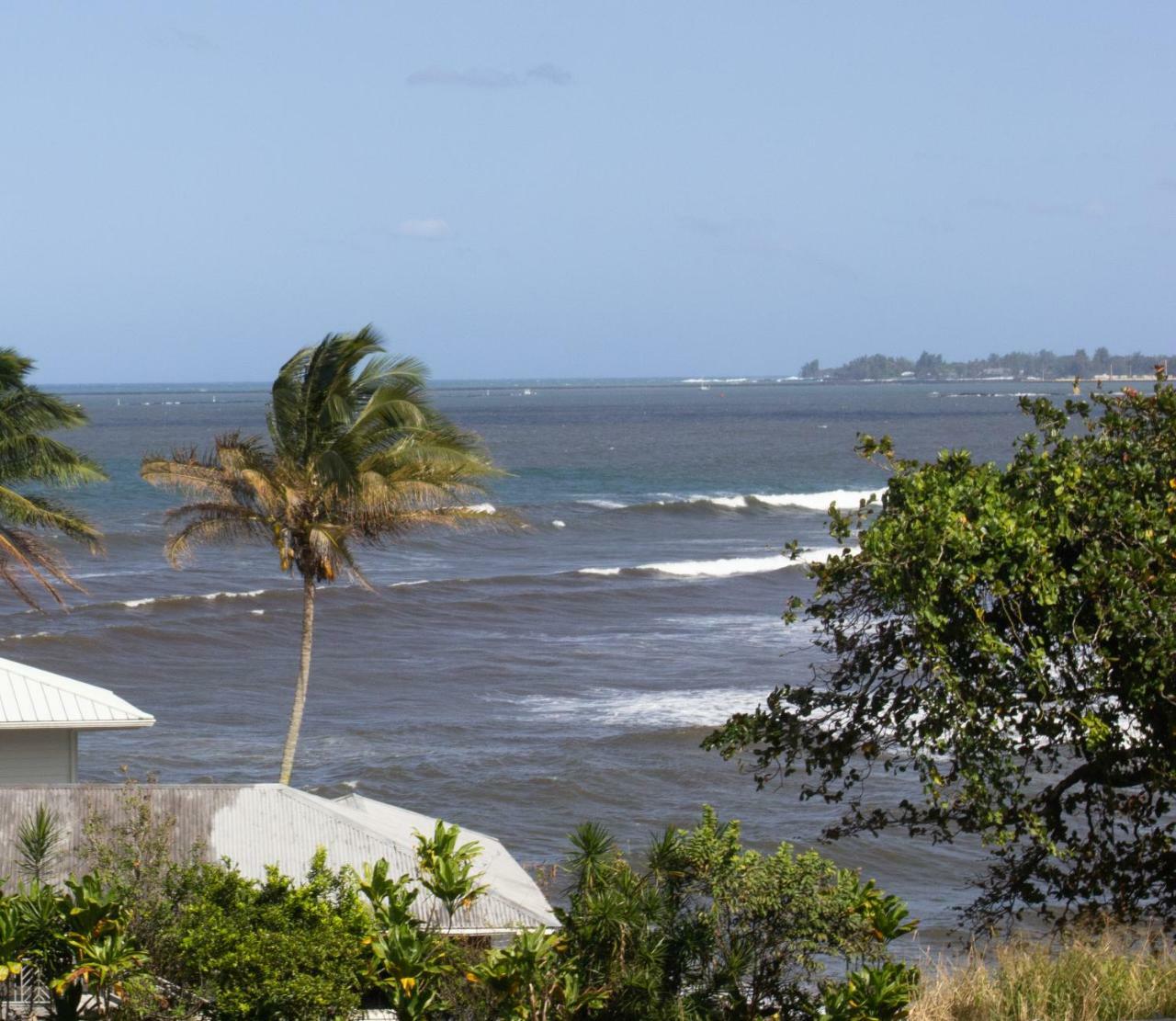 Wild Ginger Inn Hotel & Hostel Hilo Extérieur photo