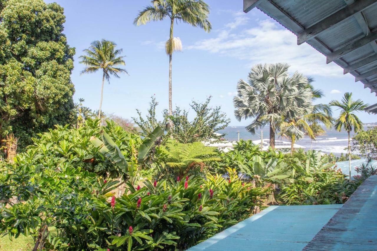 Wild Ginger Inn Hotel & Hostel Hilo Extérieur photo
